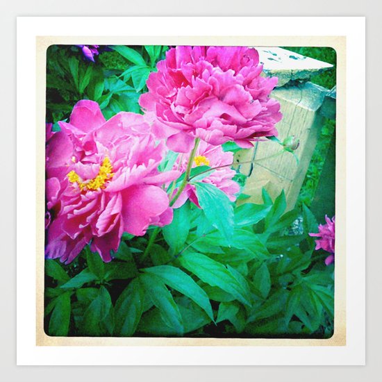 pink Art Print