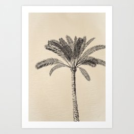 Boho Coastal Single Palm Art Print