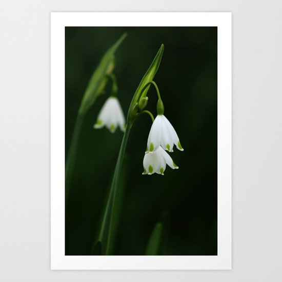 Elegance Art Print