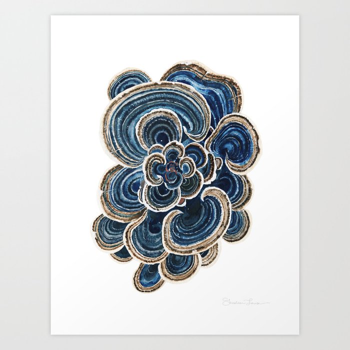 Blue Trametes Mushroom Art Print