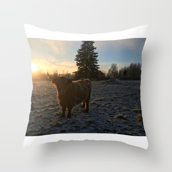 Fluffy Highland Cattle Cow 1189 Throw Pillow