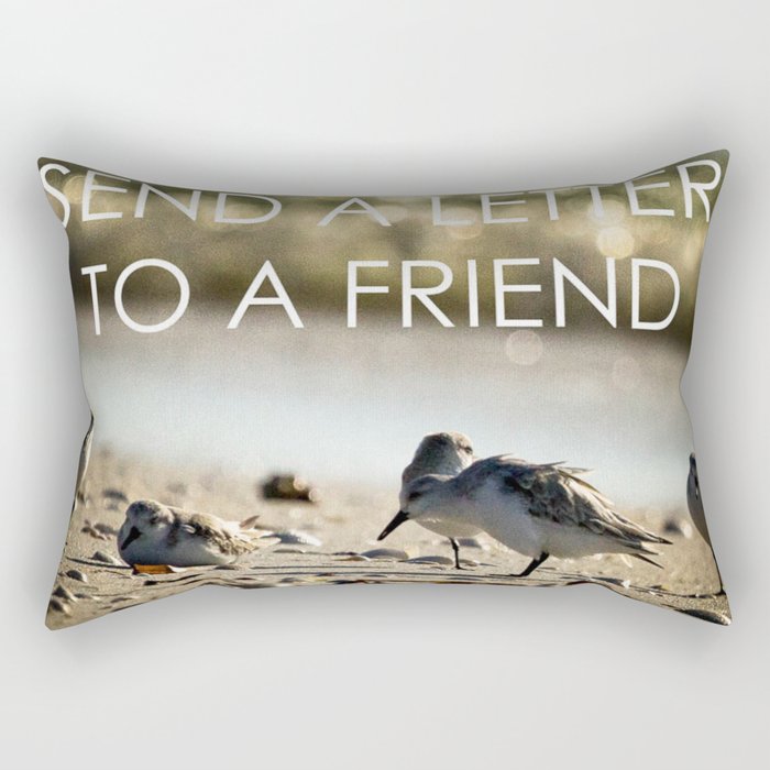 Send A Letter To A Friend Rectangular Pillow