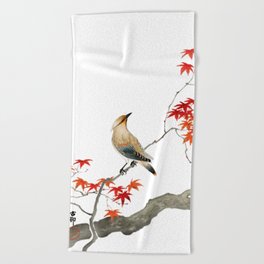 Japanese Plague Bird On Maple (1900 - 1936) Ohara Koson - Reproduction Beach Towel