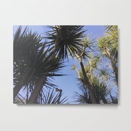 Palm trees Metal Print