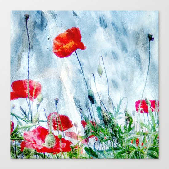 Poppy Love III Canvas Print