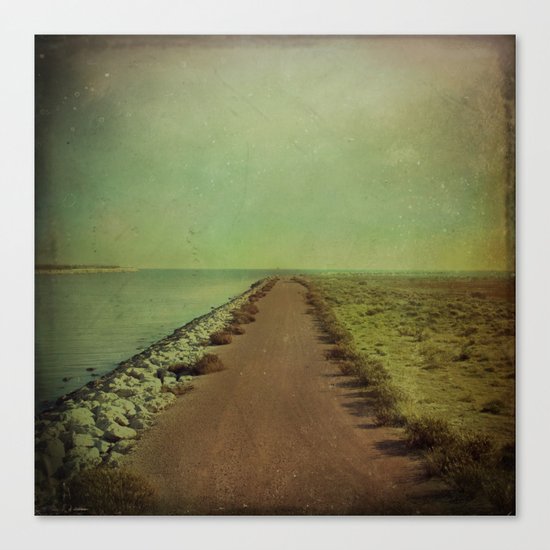 The end of the road Canvas Print