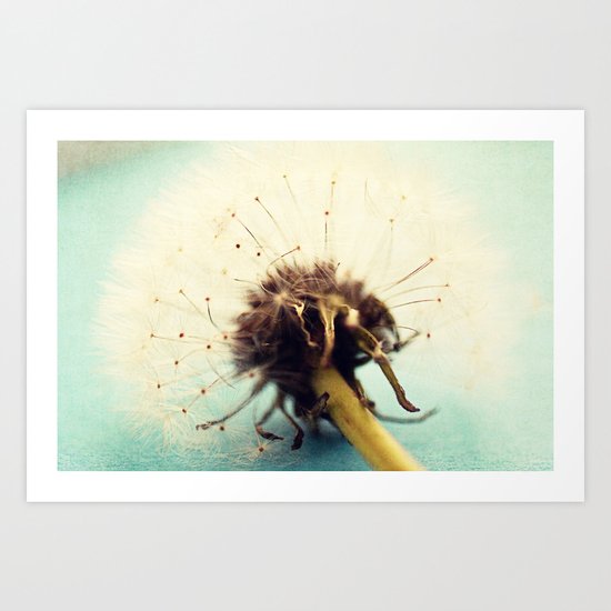 wishes Art Print