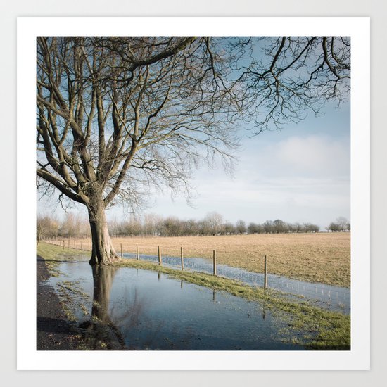 a cold afternoon... Art Print