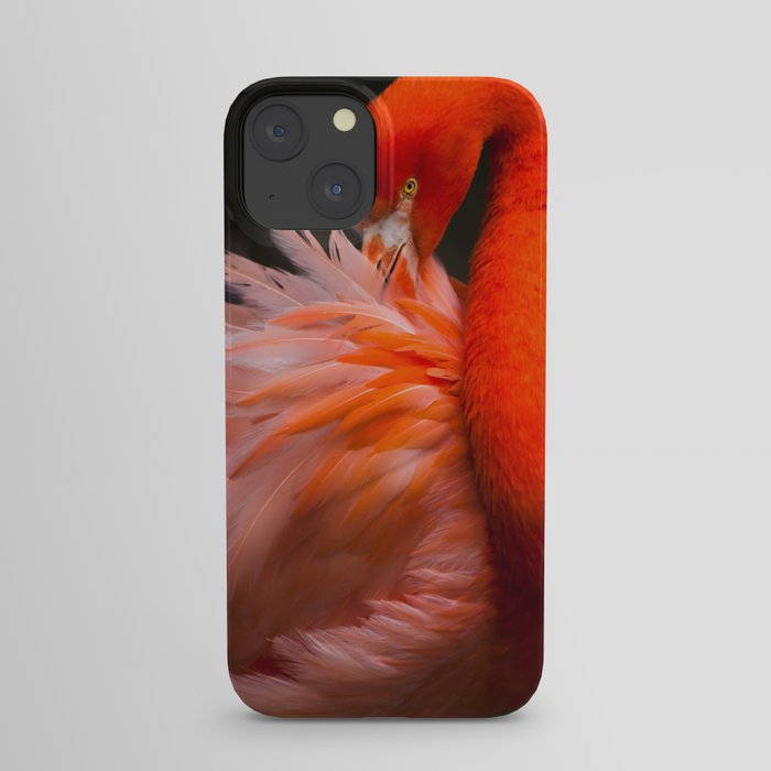 Flamingo Fluff iPhone Case