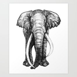 Hand drawn elephant Art Print