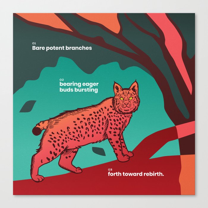 Desert Bobcat | Nature's Resilience Canvas Print