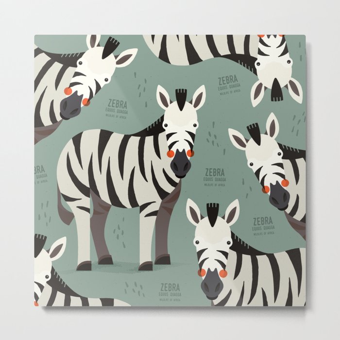 Zebra, Wildlife of Africa Metal Print