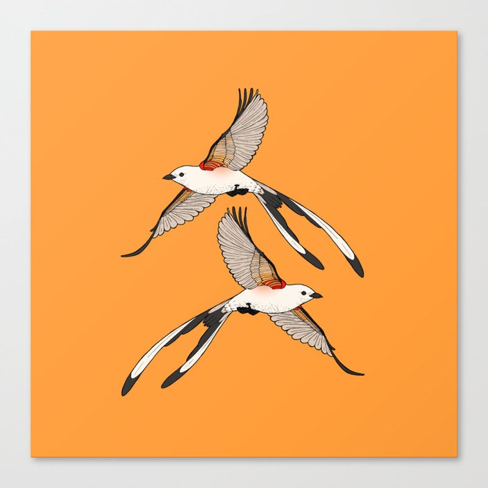 Scissor-tailed Flycatcher Canvas Print