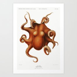 Vintage octopus illustration poster design for sea animals lovers. Art Print | Science, Natural, Marinebiologist, Animal, Pulp, Natureart, Germanart, Painter, Zoo, Biology 