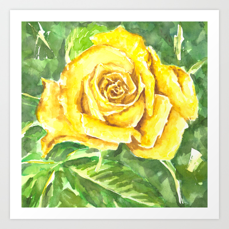 Yellow Rose Watercolor Painting Art Print By Erika Lancaster