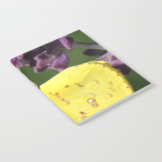 Orange Sulphur Butterfly Notebook