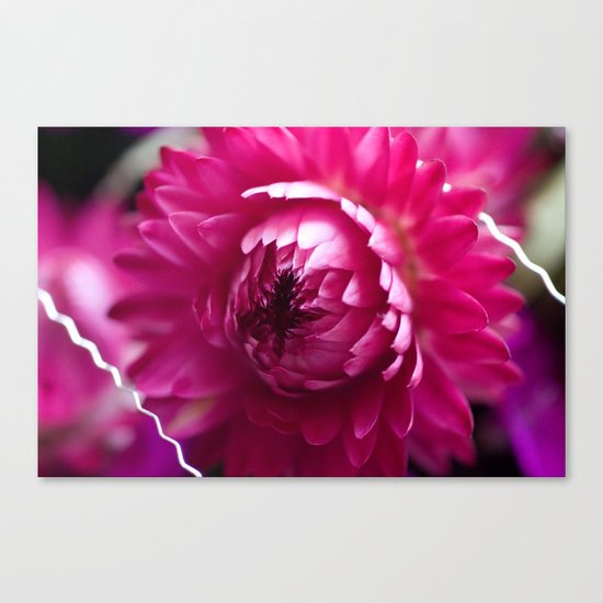Hot Pink Flower #1 #art #society6 Canvas Print