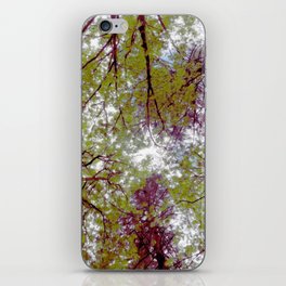 Cottagecore Mysterious Trees in Oil iPhone Skin