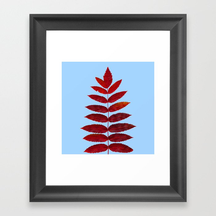 Red Sumac Leaves Framed Art Print