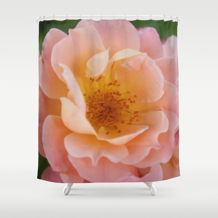 Powder Pink Colored Rose Shower Curtain