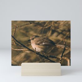 Mockingbird Mini Art Print