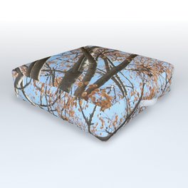 Rowan tree branches with berries and bird Outdoor Floor Cushion