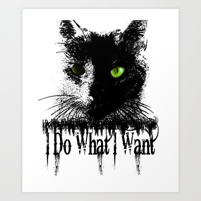i do what i want  black cat Art Print