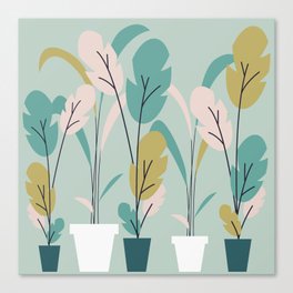 Modern Indoor Plants Canvas Print