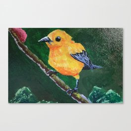 A Yellow Bird  Canvas Print