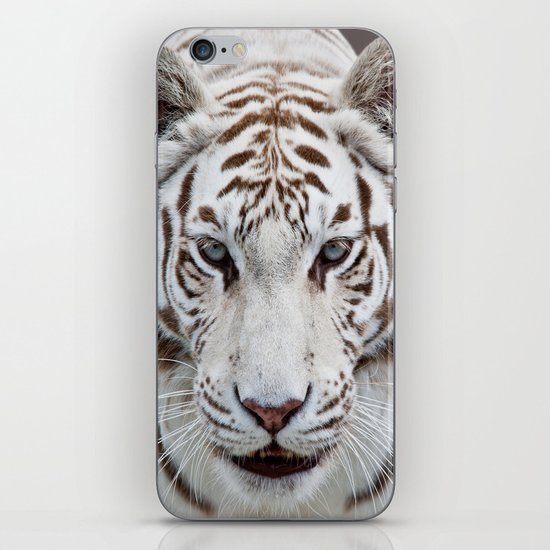 TIGER TIGER iPhone & iPod Skin