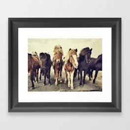Horses Framed Art Print