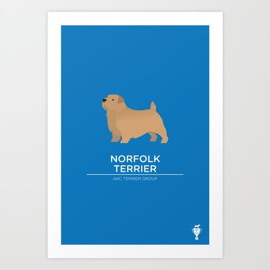 Norfolk Terrier Art Print