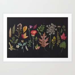 Plants + Leaves 4 Art Print