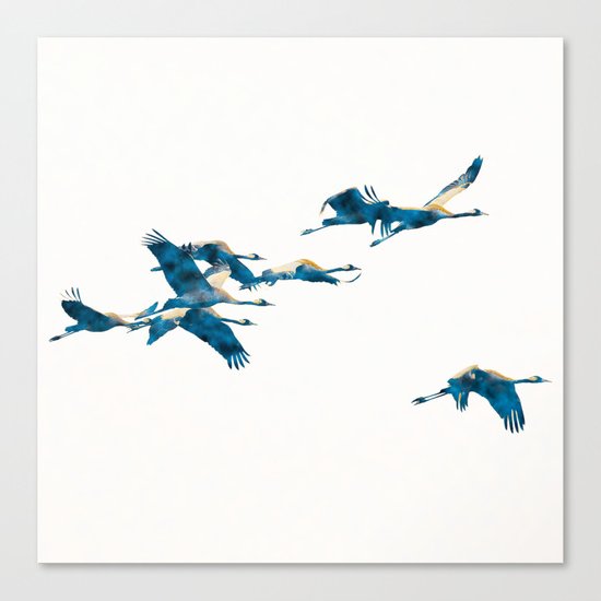 Beautiful Cranes in white background Canvas Print