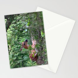 The thicket Stationery Cards