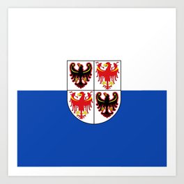 flag of Trentino Art Print