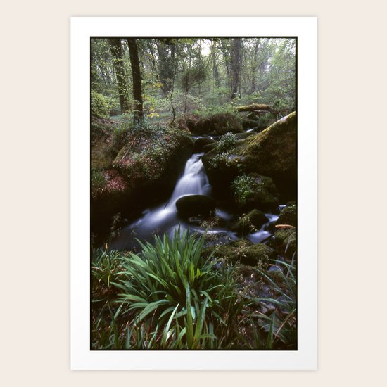Waterfall Art Print