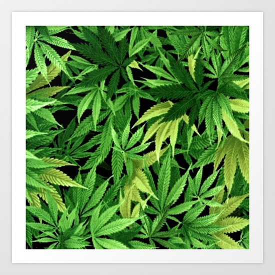 Cannabis Art Print