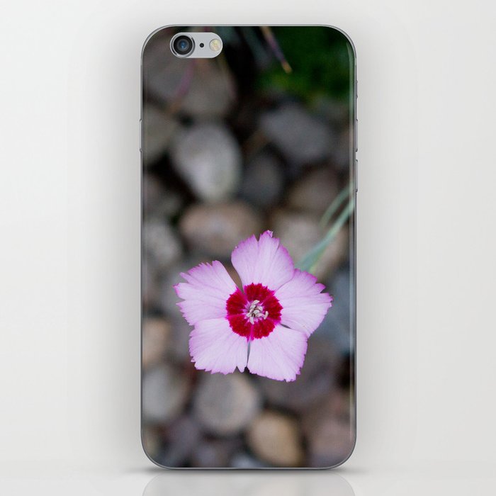Purple Flower 2 iPhone Skin