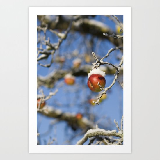 Snow Apple Art Print