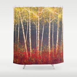 Birch Trees in the Fall Shower Curtain