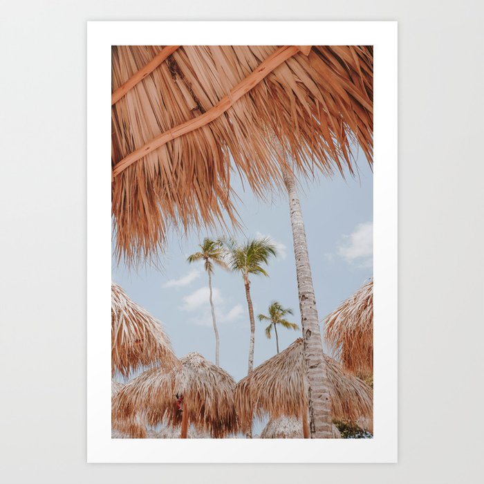 palm trees iv Art Print