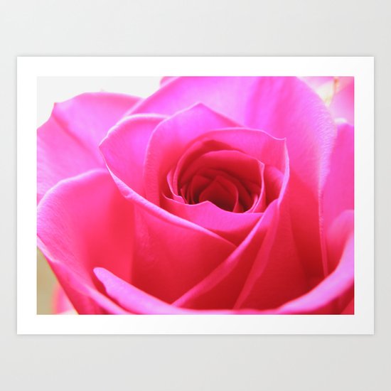 Pink Roses #3 Art Print