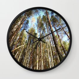 Pine Tree Canopy in Expressive and After Glow   Wall Clock
