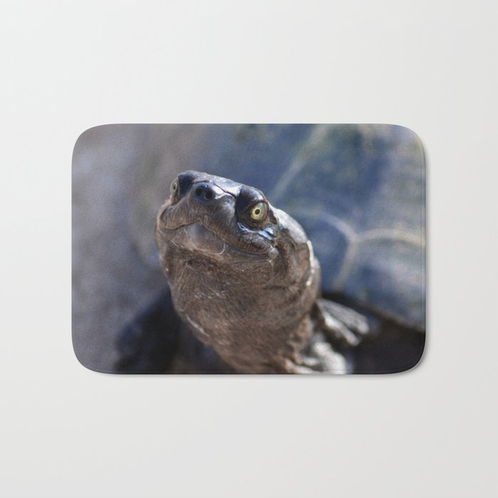 South Africa Photography - Beautiful Tortoise Bath Mat