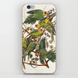 Green parrots iPhone Skin