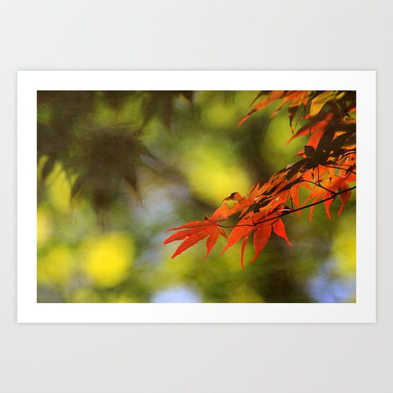 Sunlit Leaves Art Print