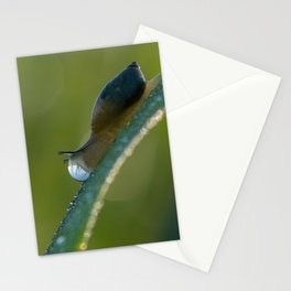 Little snail on light adventure - 03 -Unique reflection Stationery Cards