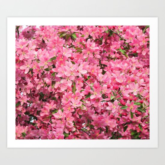 Crab Apple - Pommetier Art Print