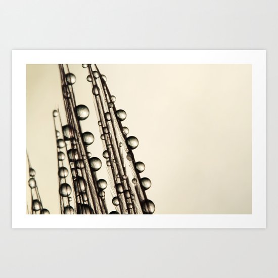 Feather Soft Drops Art Print